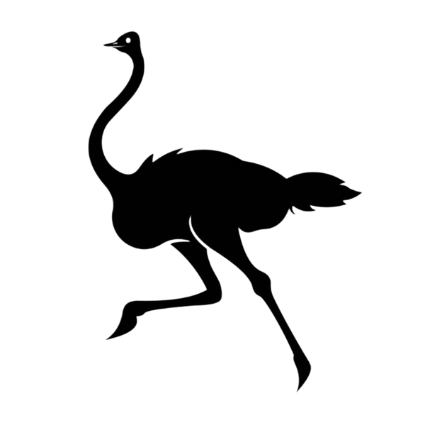 Ostrich Marketplace